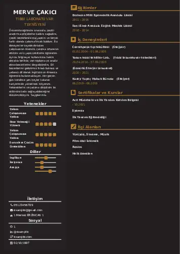 Laboratuvar Teknisyeni Cv Örnekleri cv indir